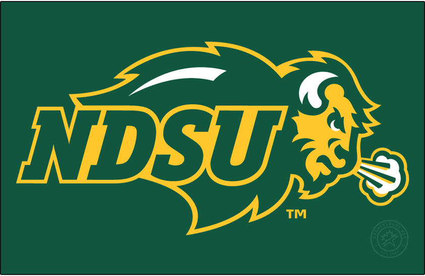 North Dakota State Bison 2012-Pres Primary Dark Logo diy DTF decal sticker